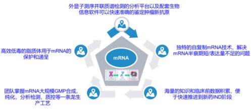 創(chuàng)新競爭2.0 國內(nèi)頭部藥企如何借力計(jì)算機(jī)網(wǎng)絡(luò)科技重塑研發(fā)格局